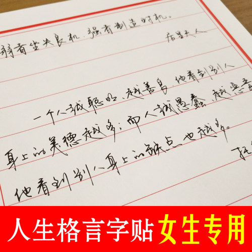 手写体清新硬笔临摹练字行草书
