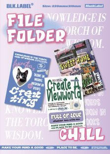 BlankLabel复古少女风L型文件夹收纳袋单页PP加厚学生试卷夹