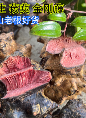 贵州野生现挖菝葜金刚藤