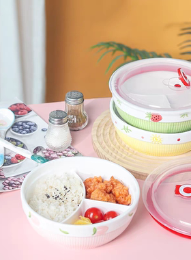 陶瓷釉下彩分格大人减脂餐盘家用高级感饭盒儿童上班族三格一人食