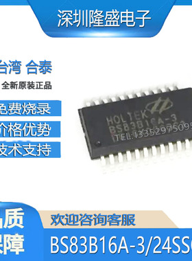 BS83B16A-3 原装正品24SSOP 触摸触控IC Touch key 烧录/24SOP
