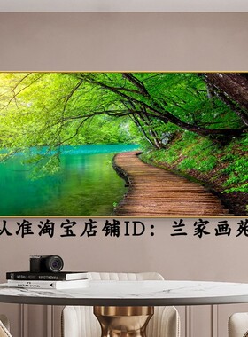 轻奢客厅阳光森林小桥流水装饰画