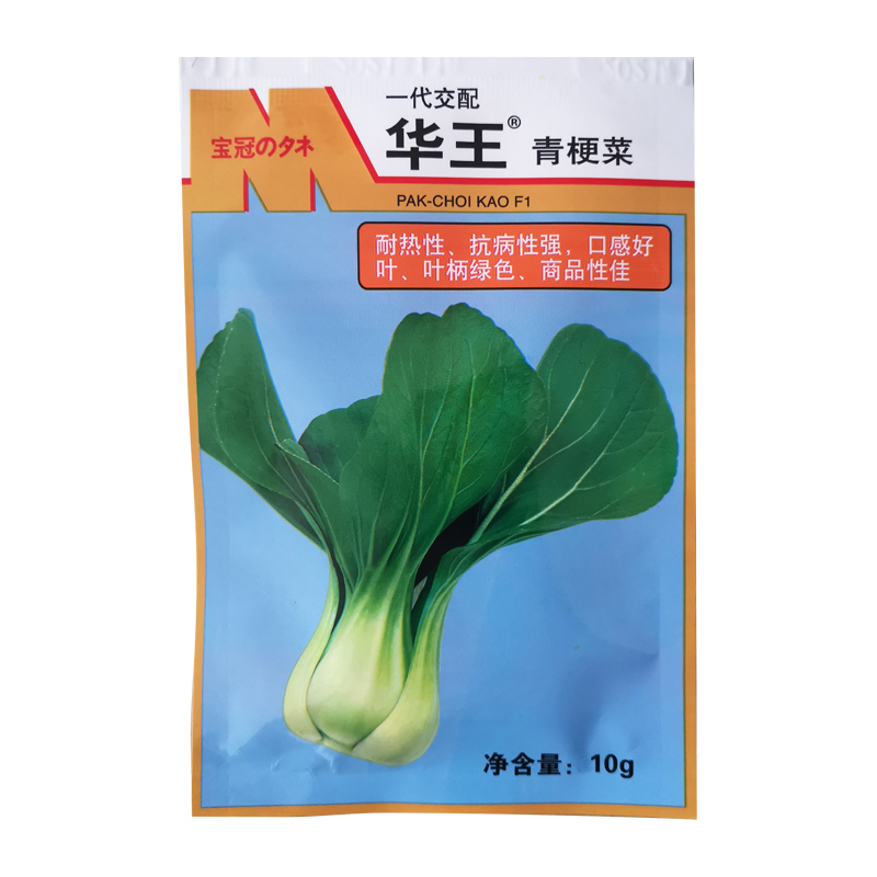 华王青梗菜种籽大全苏州四季