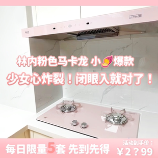 林內馬卡龍粉色抽油煙機家用白色廚房大吸力歐式 頂吸官方16GA