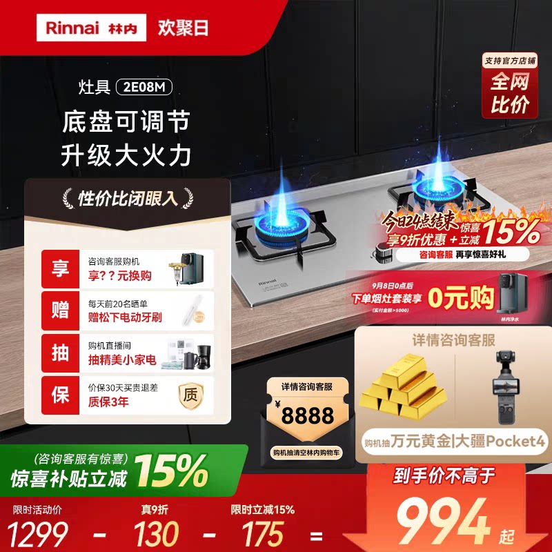 Rinnai/林内大火力燃气灶图片