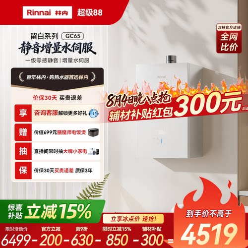 林内留白一级静音GC65玻璃水伺服