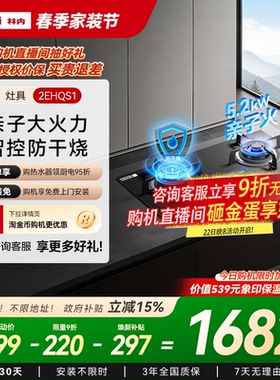 新品上市林内Rinnai烟灶套装亲子火定时防干烧2EHQS1/QS2+13EA