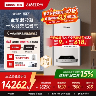 真一级能效林内全预混旗舰采暖炉