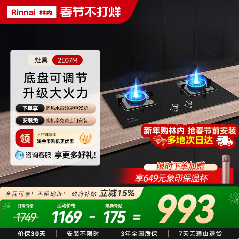 ����Rinnaiȼ�������˫����Ȼ��¯��̨ʽ���2E08M