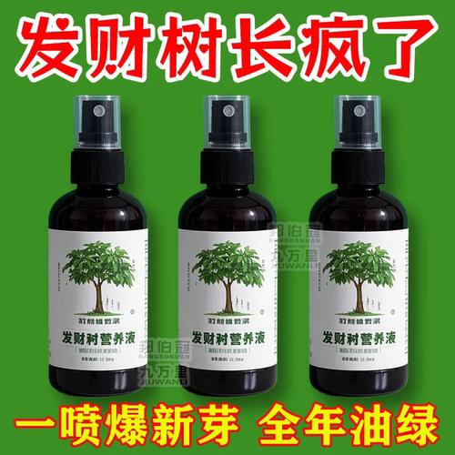 发财树营养液专用肥料治黄叶烂根