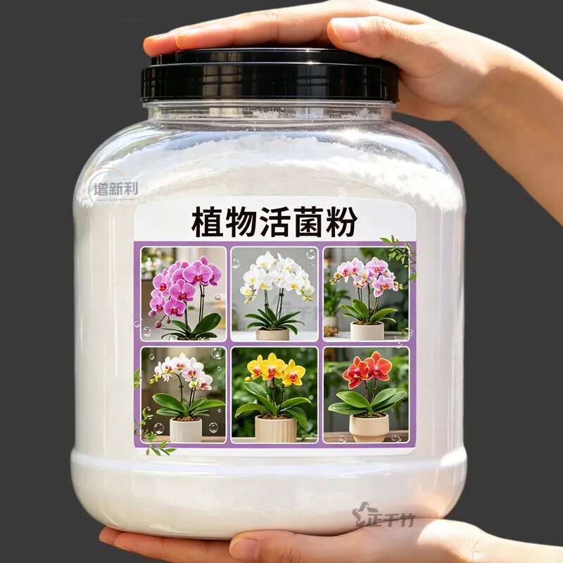 【兰花长疯了】高肥力促花防烂根