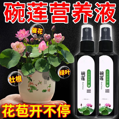 碗莲肥料碗莲营养液睡莲专用营养液促进开花的肥料水培荷花专用肥