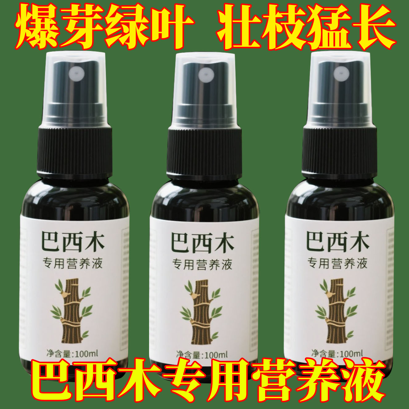 巴西木营养液一喷爆芽壮枝猛涨