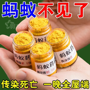 蚂蚁药强效全窝端家用非无毒厨房室内野外菜地灭蚁清一窝端灭蚁药