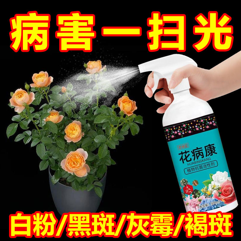 花病康植物花卉通用型花病康免稀释直喷型家庭园艺盆栽抗菌活性剂