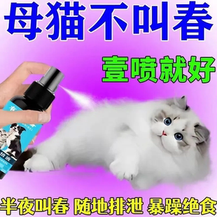 猫咪抑制药公猫母猫专用禁情液喷雾剂非药缓解期嚎叫乱尿