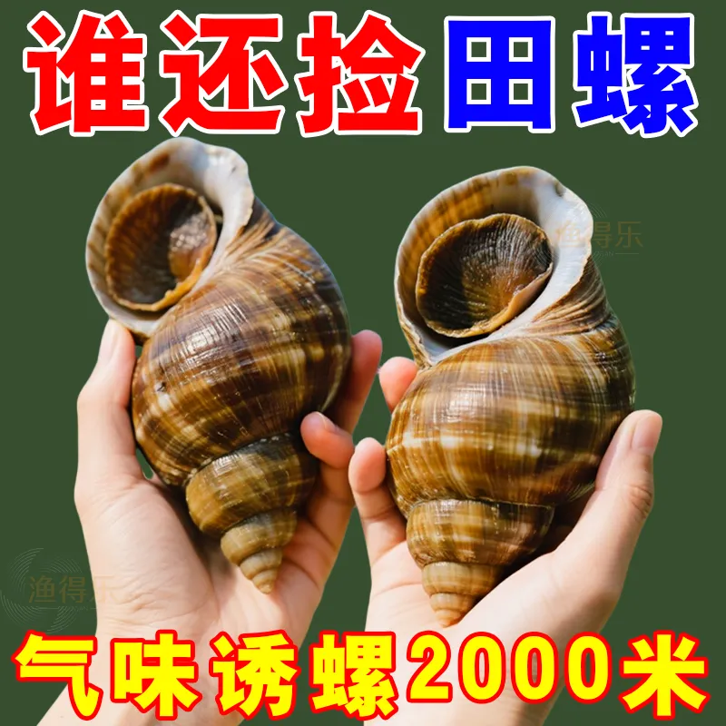 田螺青蛳诱捕超强聚螺液添加剂户外池塘稻田专用强效浓缩诱营养液