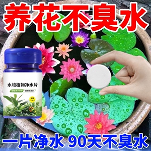 碗莲荷花净水片催芽睡莲开花黄叶叶面黑烂叶增肥水培绿植专用通用