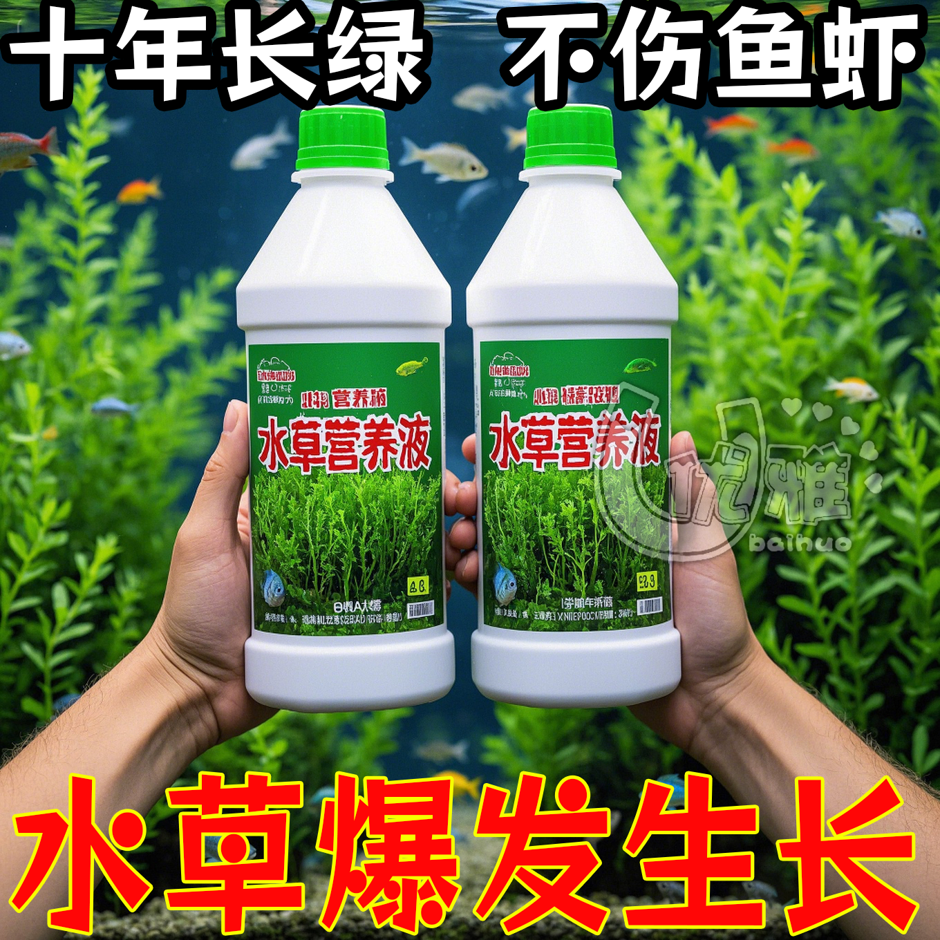 水草营养液基肥营养液不伤鱼