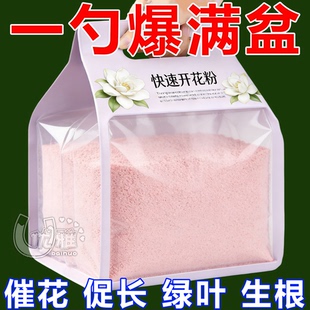 快速开花粉通用君子兰三角梅专用植物强力爆花粉植物肥料促进开花