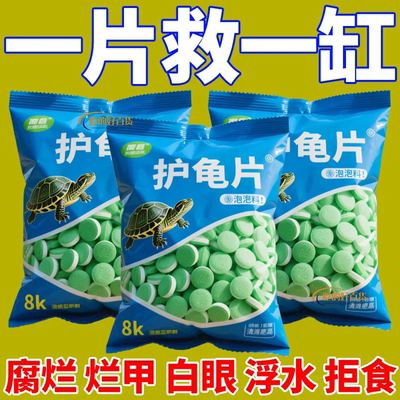 养龟不得病一泡就好乌龟焕新生