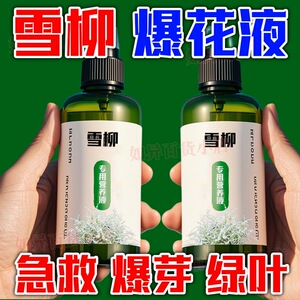 雪柳龙柳干枝营养液专用促芽水培催花叶子发黄发芽稀释叶面肥肥料