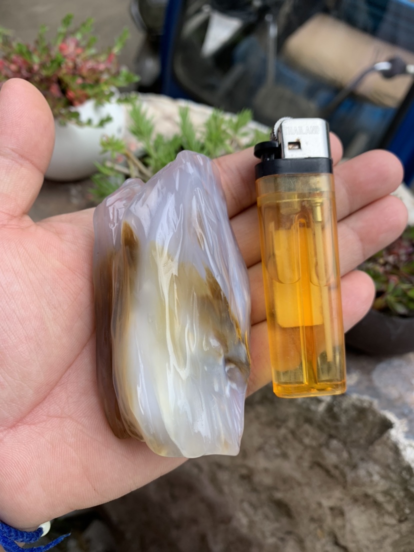 缅甸树化玉手把件