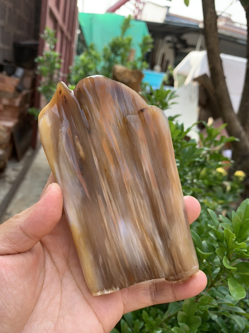 缅甸树化玉手把件高12/宽7.5/厚2厘米