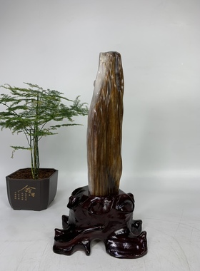 缅甸树化玉摆件