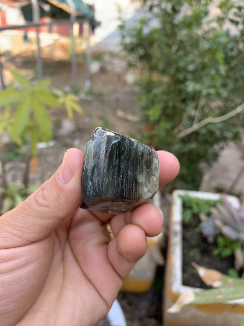 缅甸树化玉手把件高3.5/宽4/厚3厘米