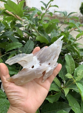 缅甸树化玉摆件