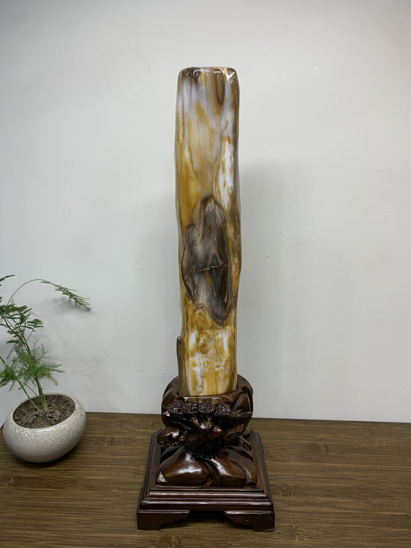 缅甸树化玉摆件总高51/高37/宽7/厚4.5厘米净重4.6斤