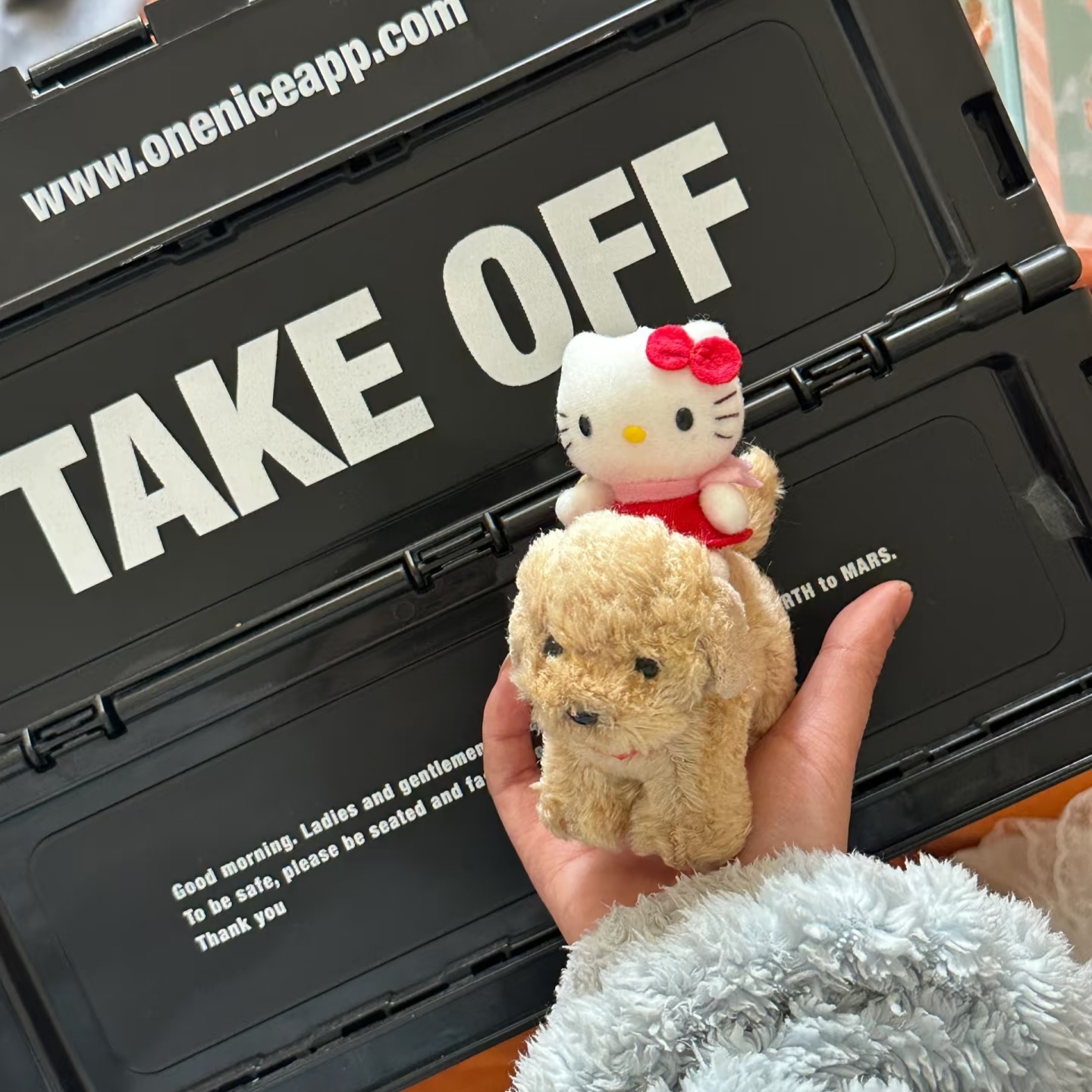 日本骑狗狗hellokitty猫