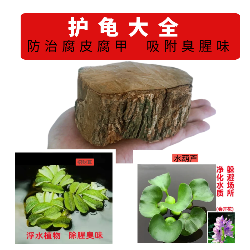 龟鳖用品大全养龟神器龙眼木龟鳖缸造景龟屋养乌龟植物爬虫用品
