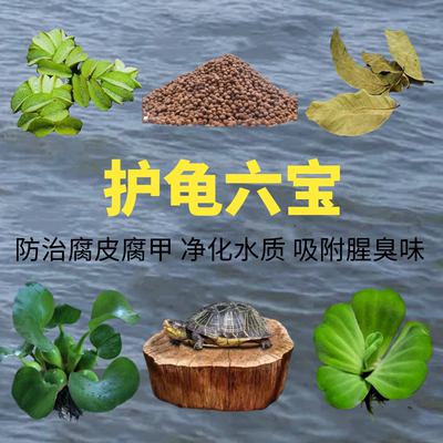 养乌龟专用缸龙眼木水草造景摆件