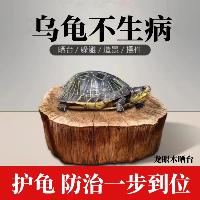 乌龟缸养龟专用龙眼木水质稳定剂