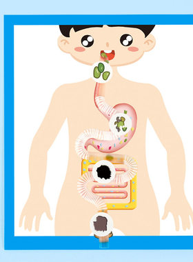 食物的旅行了解人体的消化系统diy科技小制作材料包幼儿园儿童