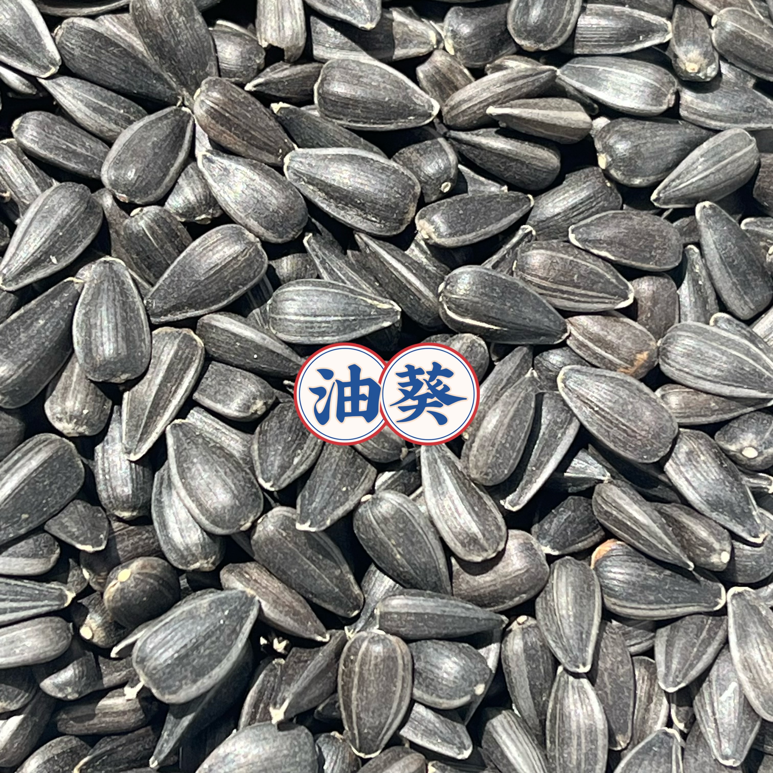 新黑瓜子油葵籽黑珍珠小瓜子葵花籽鹦鹉鸟食仓鼠粮食鸟粮鸽粮包邮