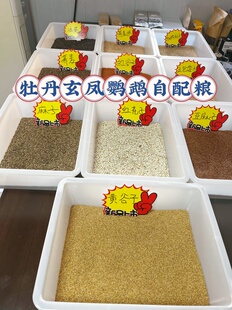 鹦鹉鸟粮自配粮饲料牡丹玄凤鸟食油葵红花籽谷子营养粮种子粮