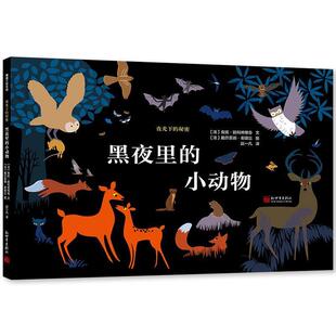 精装 社 蒲蒲兰探索馆：夜光下 新世界出版 9787510471094 绘本 小动物 黑夜里 秘密 嘉
