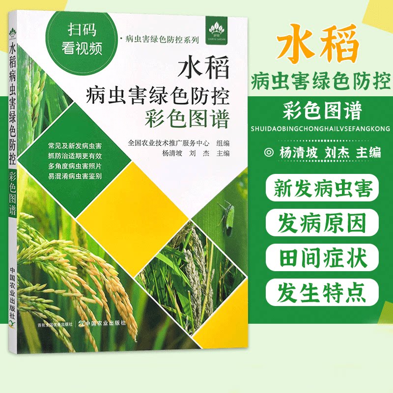 病虫害绿色防控系列 水稻病虫害防治 水稻病虫害绿色防控水稻种植病害