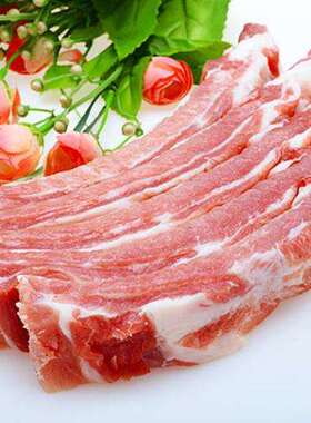 甘肃祁连山碱柴沙葱羊半只装冷链包邮买就送烧烤炖煮