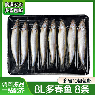 冷冻多春鱼8条装满籽海鱼海鲜烧烤香煎日本料理寿司食材大多春鱼