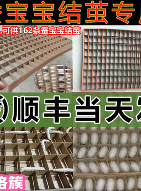 【顺丰当天发】蚕宝宝蚕结茧网吐丝盒专用方格簇的架子养蚕结茧网