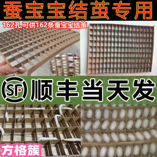 【顺丰当天发】蚕宝宝蚕结茧网吐丝盒专用方格簇的架子养蚕结茧网