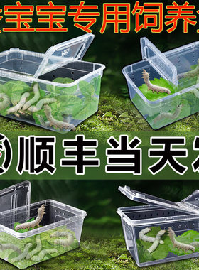 【顺丰当天发】蚕宝宝学生养蚕套装全套工具用的盒子箱专用饲养盒