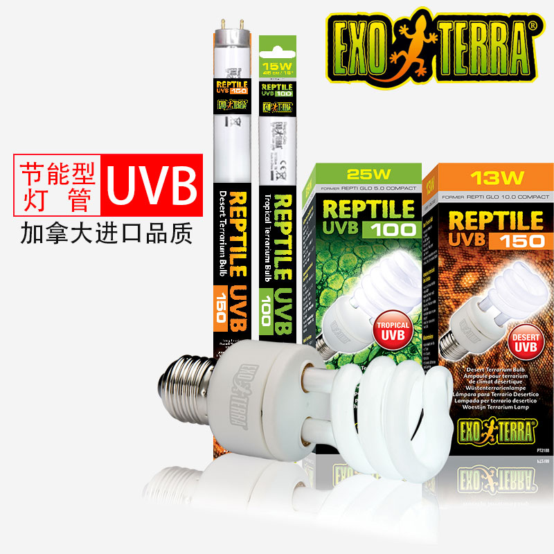 希瑾uvb灯泡补钙爬虫陆龟鬃狮