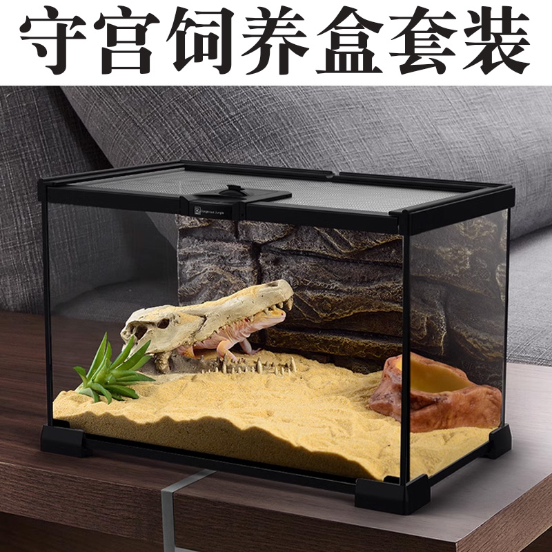 守宫饲养套装豹纹守宫饲养盒