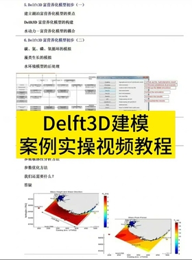 Delft3D建模案例实操视频教程