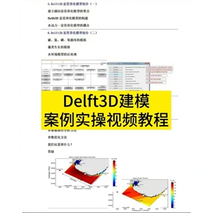 Delft3D建模案例实操视频教程